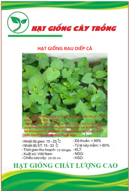 "Gói 50 Hạt " Hạt giống rau diếp cá