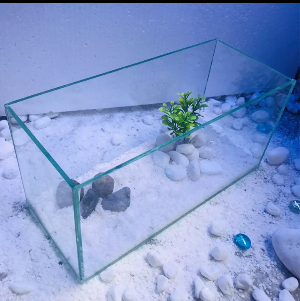 bể cá thủy sinh 30x17x17