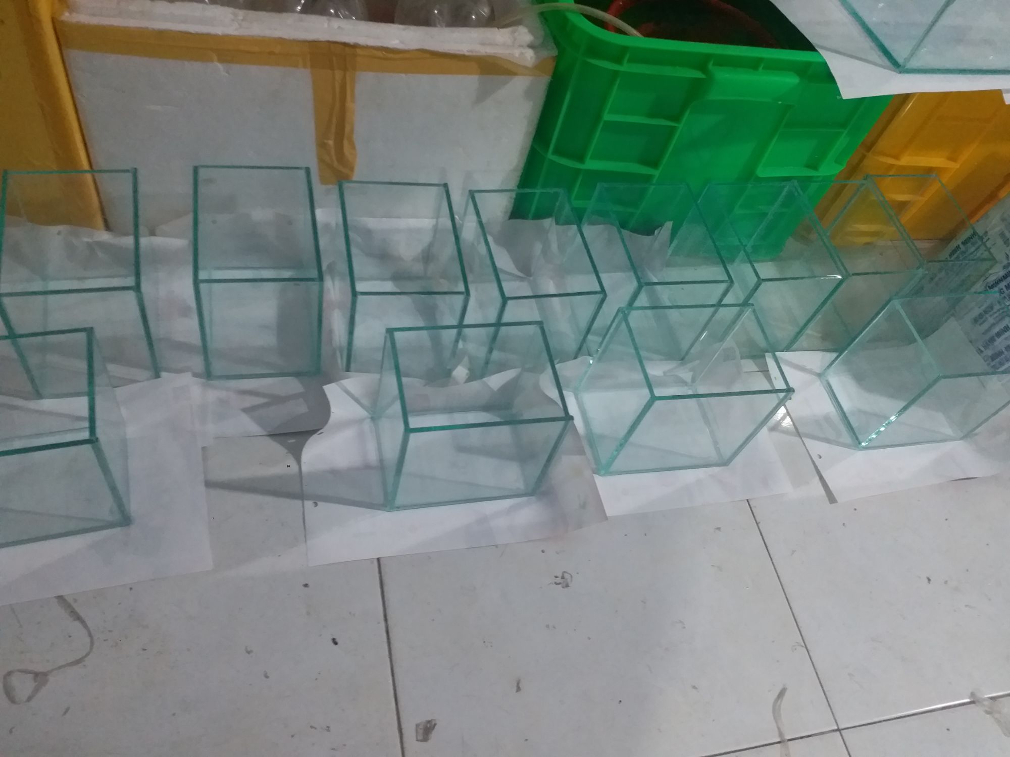 Hồ Cá Betta D20 C 12 R12