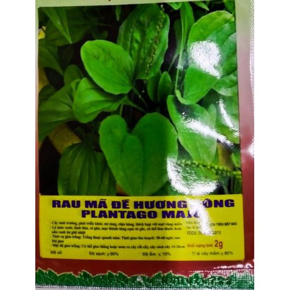 Hạt Rau Mã Đề - Gói 2 Gram