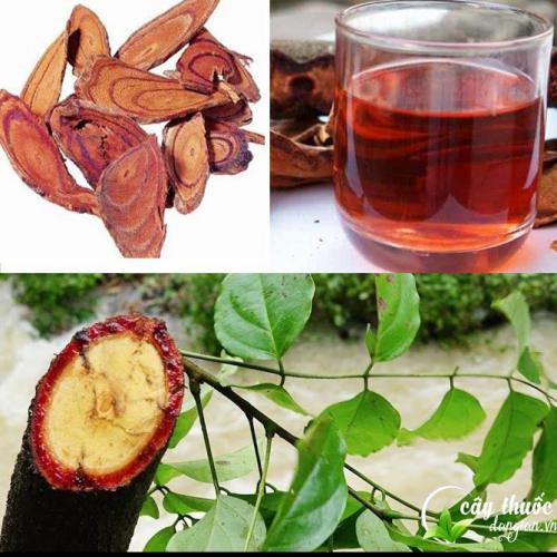 1kg Cỏ Máu sấy khố