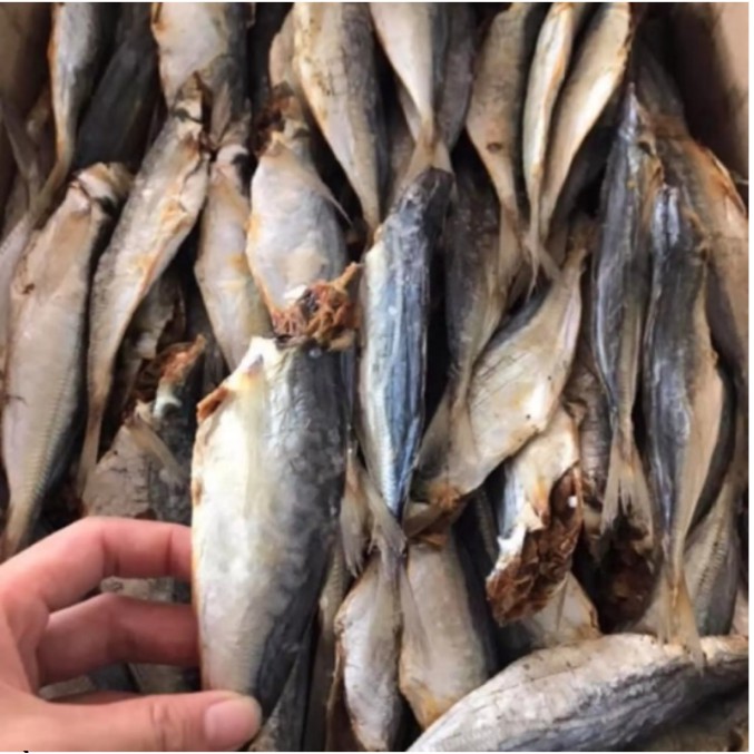 500gr khô cá nục bỏ đầu, to béo thơm ngon, thịt dai, giàu dinh dưỡng. phơi khô tự nhiên,Không chứa hóa chất.