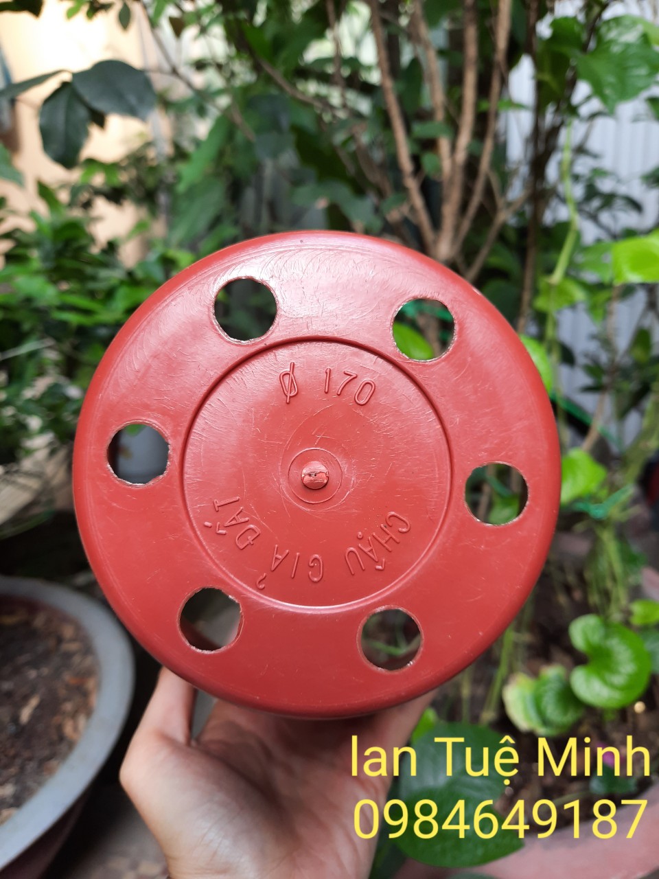 5 Chậu nhựa giả đất (gốm) chất liệu cực dẻo đủ size