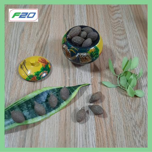 HẠT ƯƠI BAY - HẠT ĐƯỜI ƯƠI 100GRAM