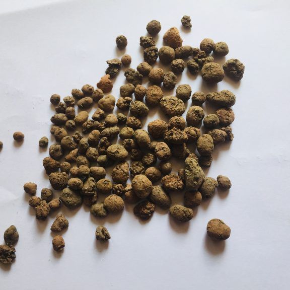 1kg Đất nung (sỏi nhẹ) trồng cây, hoa kiểng
