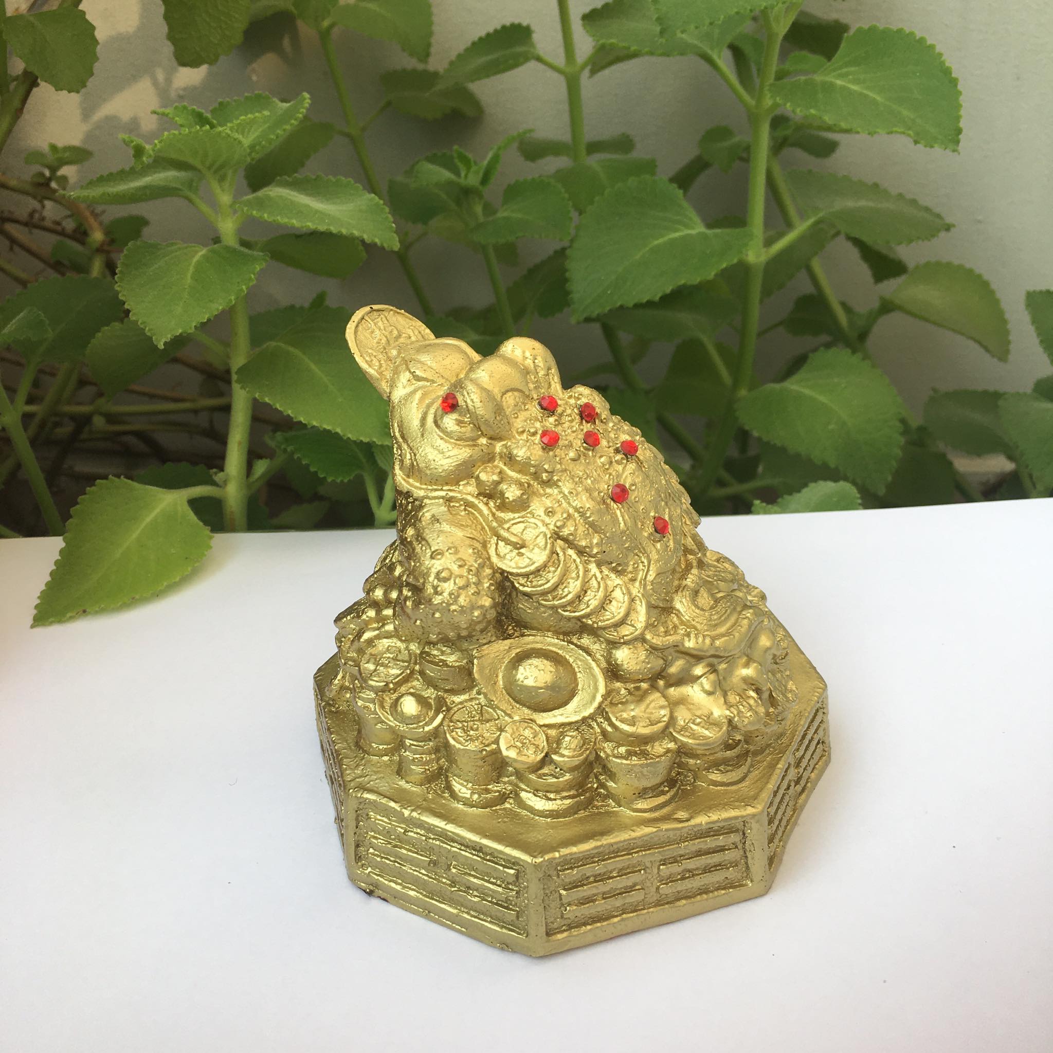 Cóc phong thủy cao 10 cm  rộng 11 cm