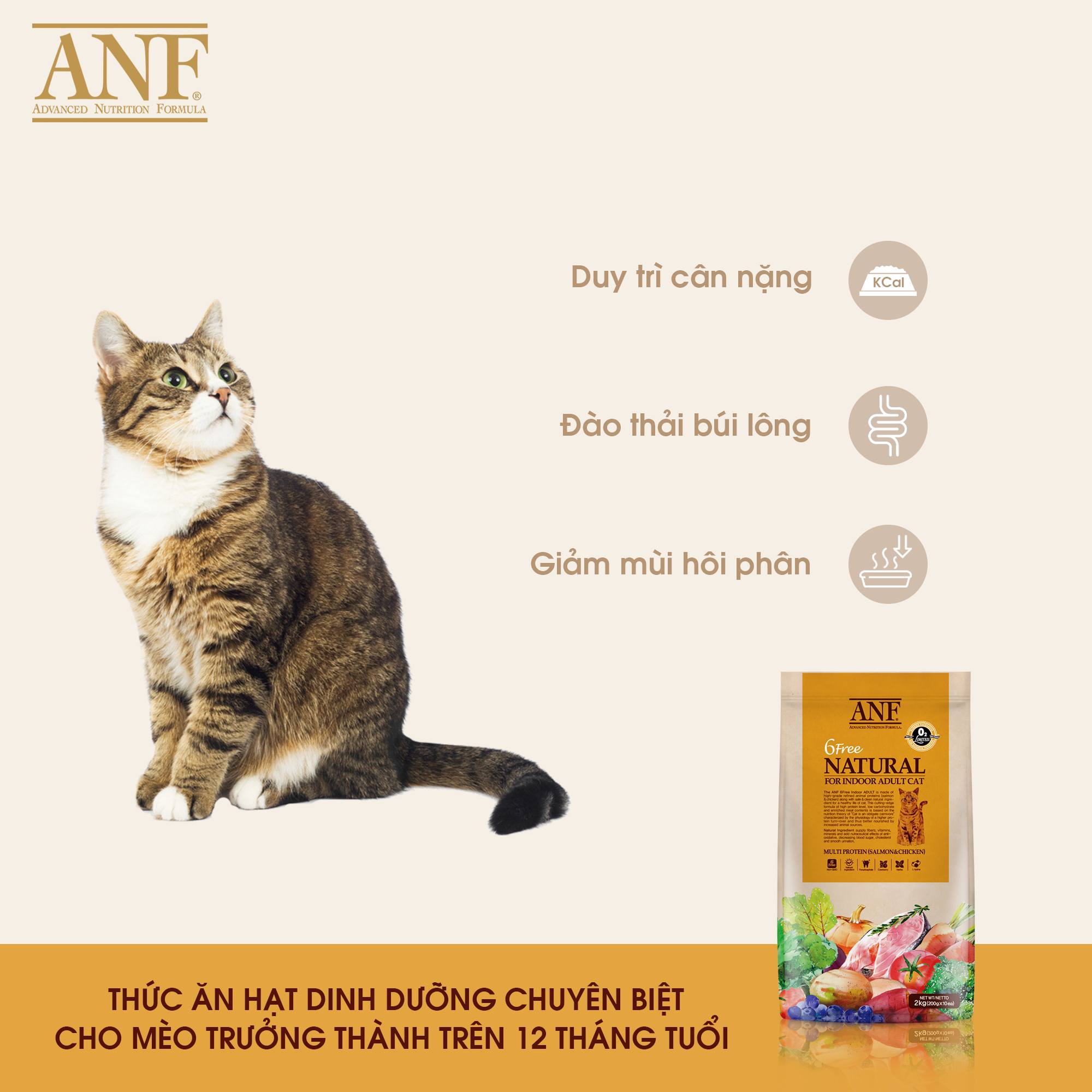 Thức ăn mèo ANF (Nguyên seal 1,6kg & 5,6kg) nhập khẩu chính hãng