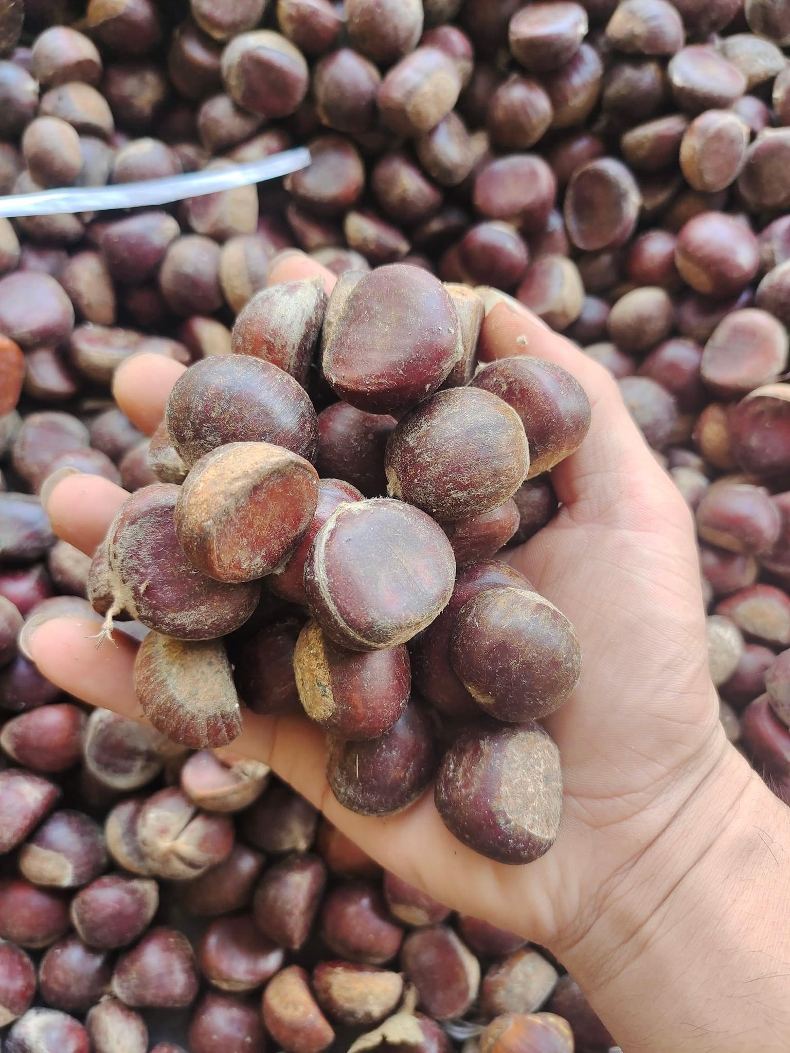(HÀNG NGON) - 1KG HẠT DẺ sống - cơm vàng bở thơm ngon