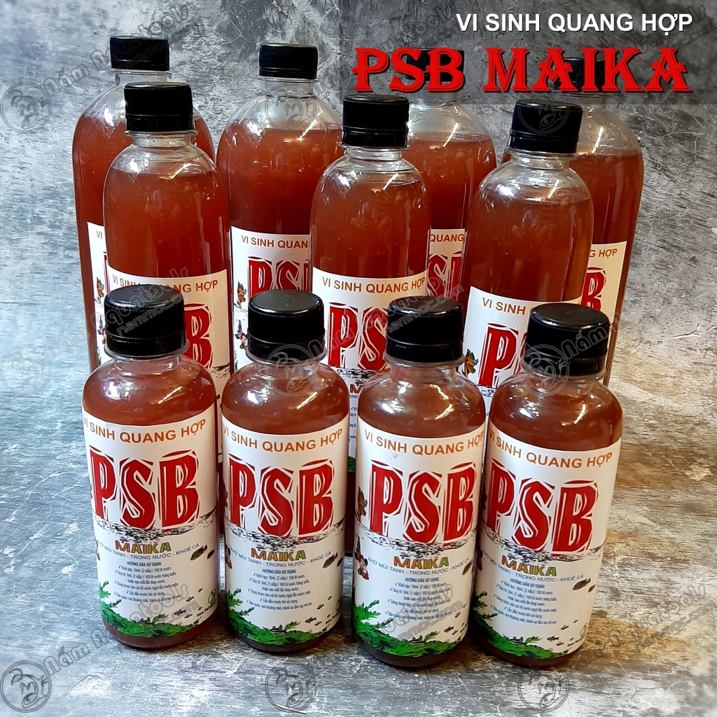 Vi sinh psb maika | vi sinh giúp khử độc - khử mùi tanh - trong nước - khoẻ cá