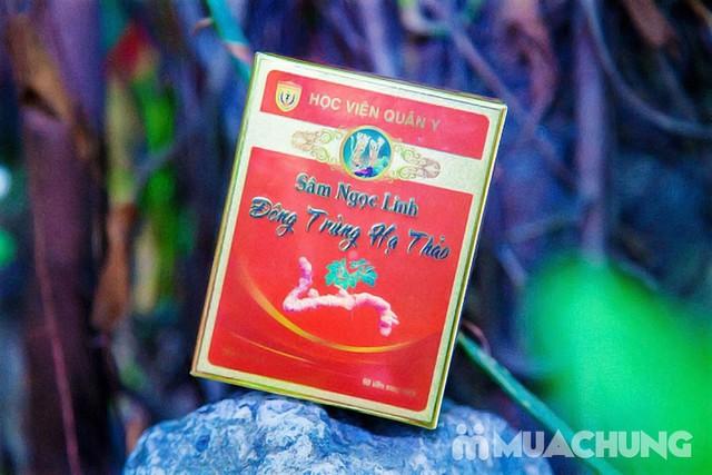 Sâm Ngọc Linh Đông Trùng Hạ Thảo HVQY