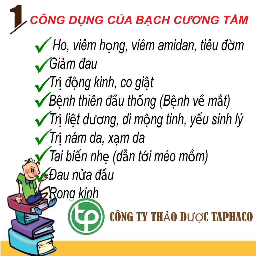 Bạch cương tằm 500g - Thảo Dược Tấn Phát