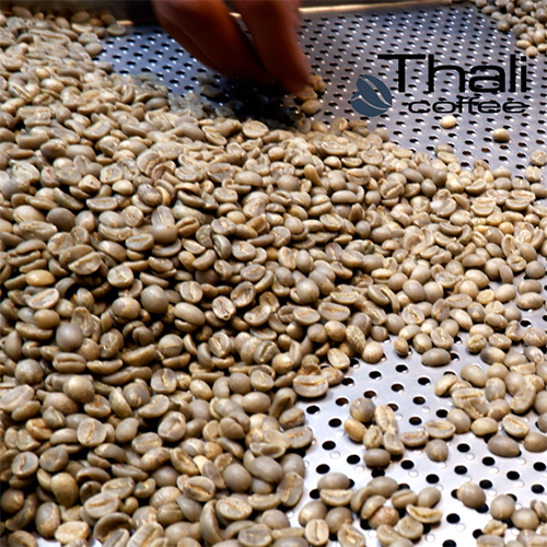 CÀ PHÊ SẠCH NGUYÊN CHẤT ROBUSTA NATURAL 500G