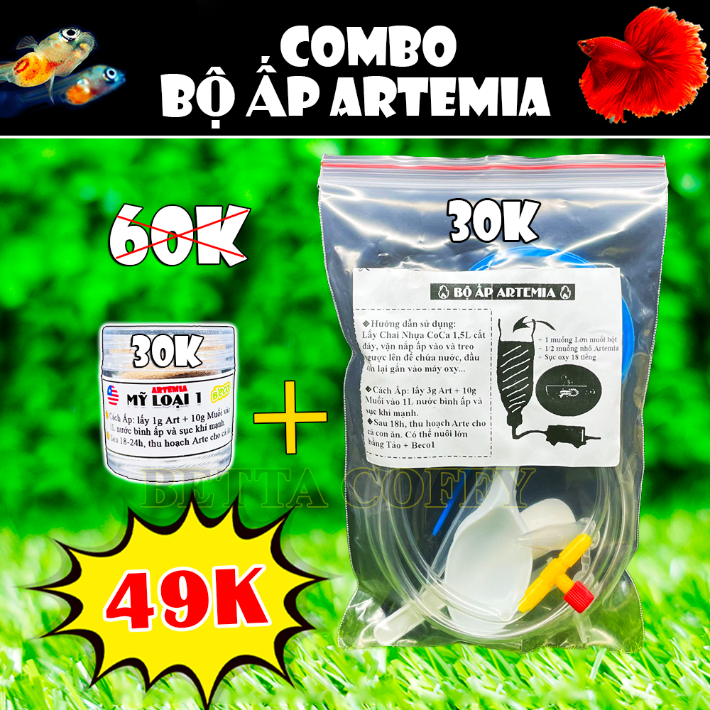 COMBO Bộ ấp Artemia - Thức ăn cho cá nhỏ