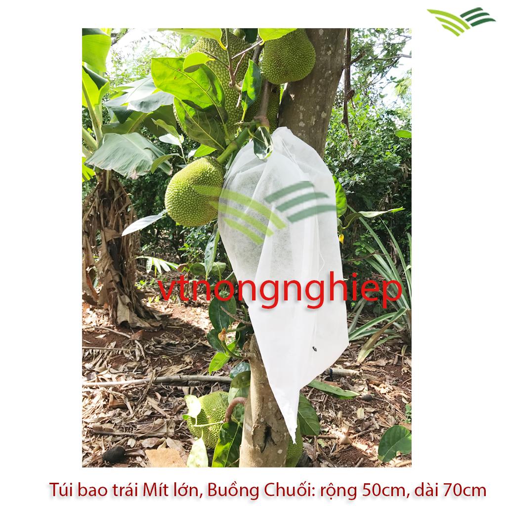 100 TÚI BỌC TRÁI MÍT kt:50x70