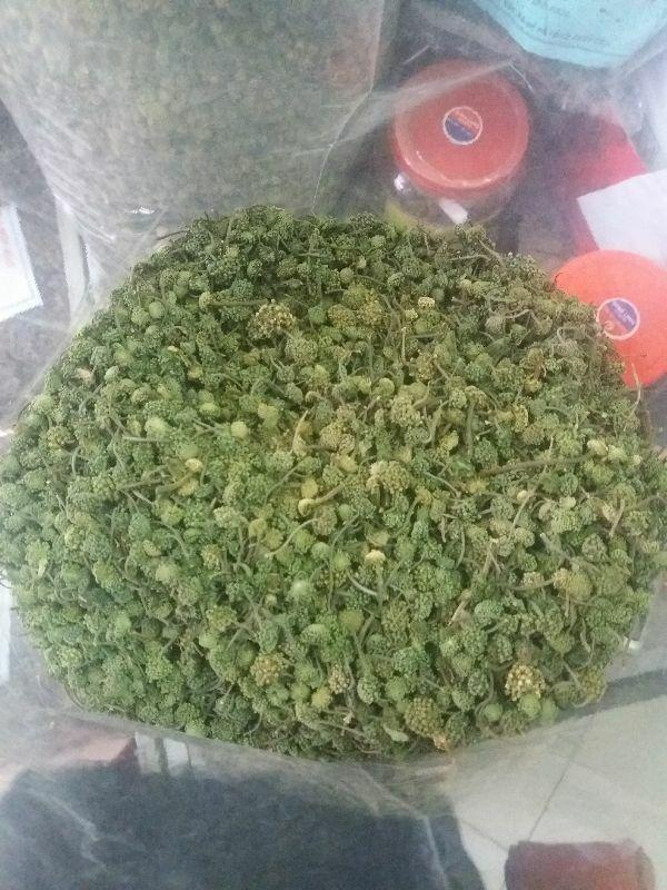 Nụ hoa tam thất khô 500g