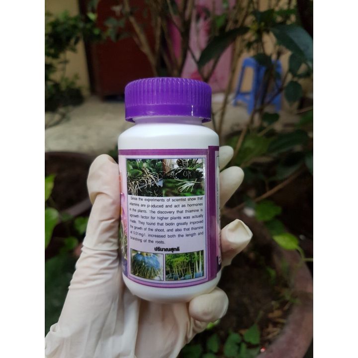 Vitamin B1 Grofer [100ml]- phân bón lá cao cấp Thái Lan