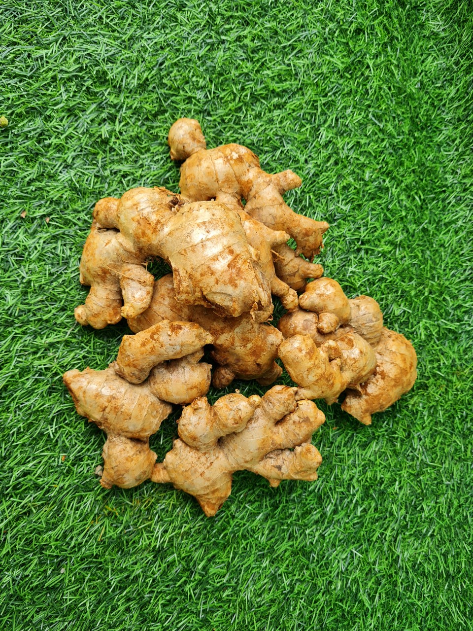 Gừng tươi ở Quê