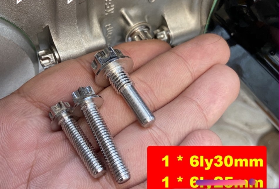 Bộ 3 ốc lòng xe máy salaya thái gồm 2 ốc chân lòng, 1 ốc bánh lòng cho xe wave, dream, super dream đồ chơi xe máy giá sỉ