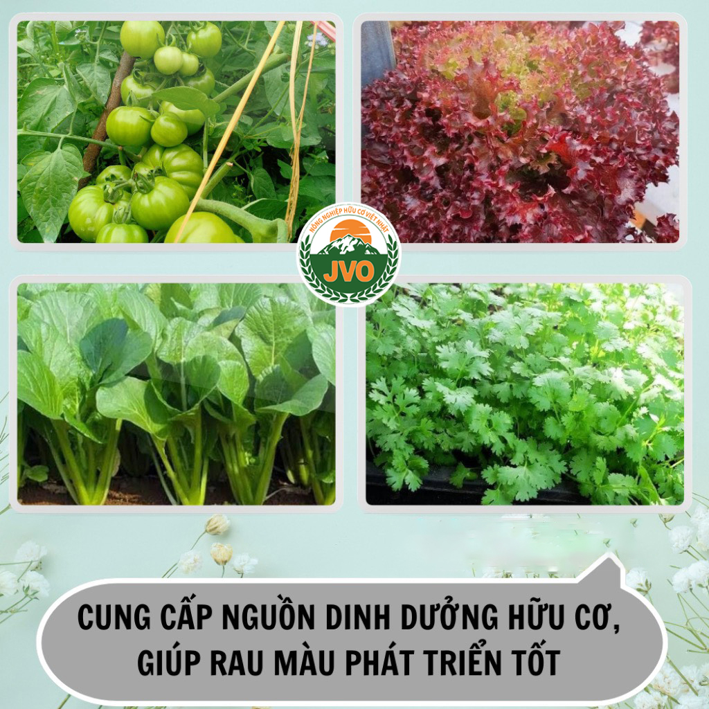Phân Bón Lá Vi Lượng Combi Đức 30g JVO45 NongNghiepVietNhat