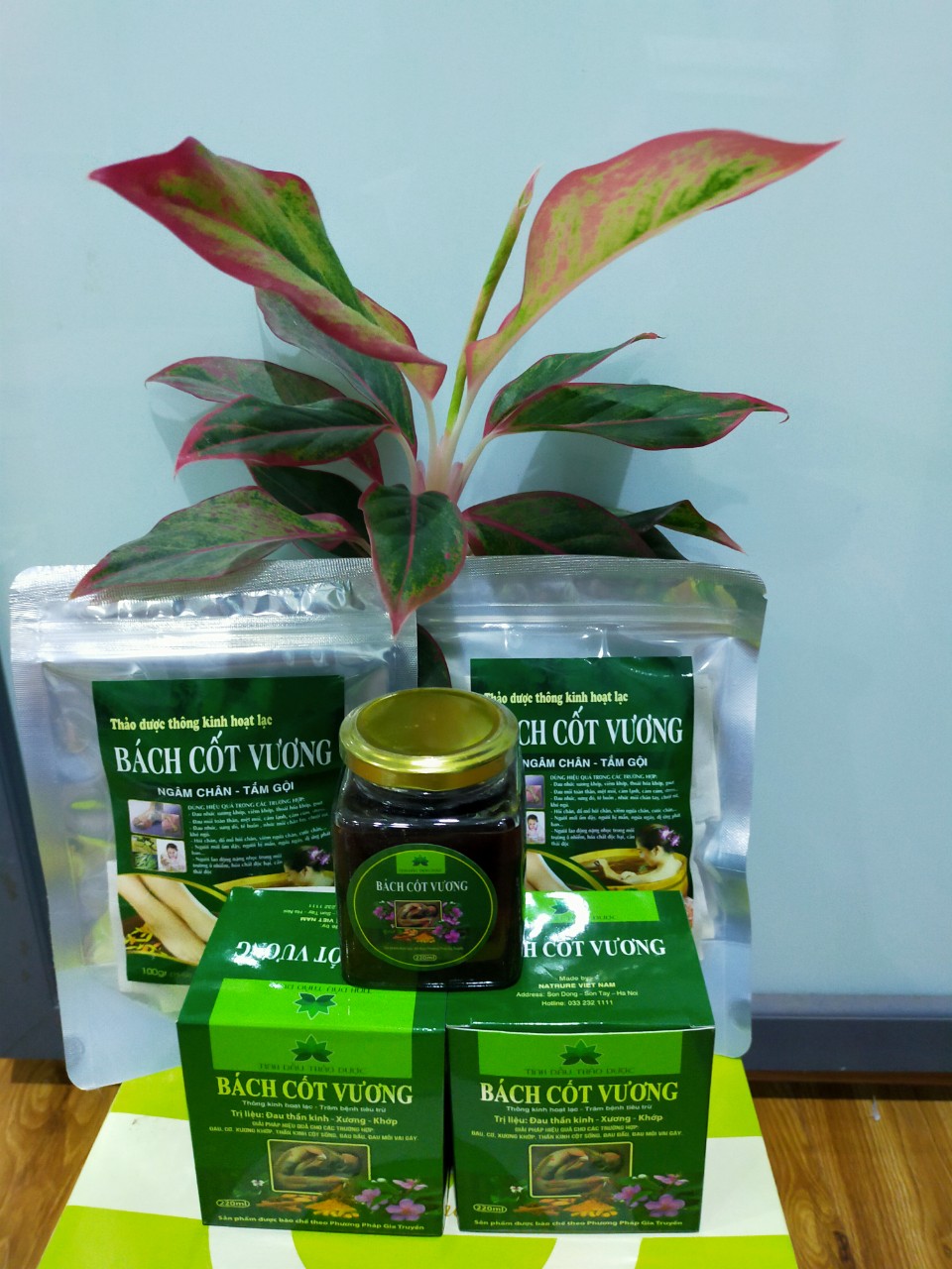 Tinh dầu xoa bóp Bách Cốt Vương