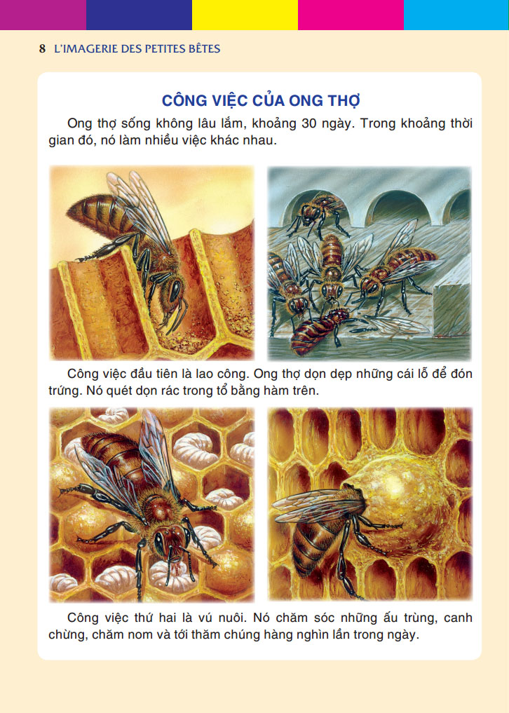 Những con vật bé nhỏ (bìa cứng)