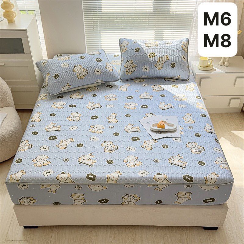 [ TẶNG KÈM 2 VỎ GỐI ] Chiếu Điều Hòa Cao Su Non Bo Chun (1m6/1m8/2m2) Mẫu Mới -