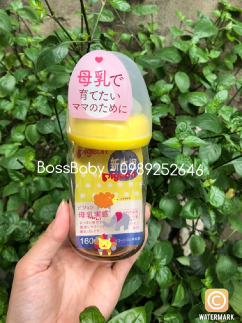 Bình Pigeon Thái Lan 160Ml/240Ml