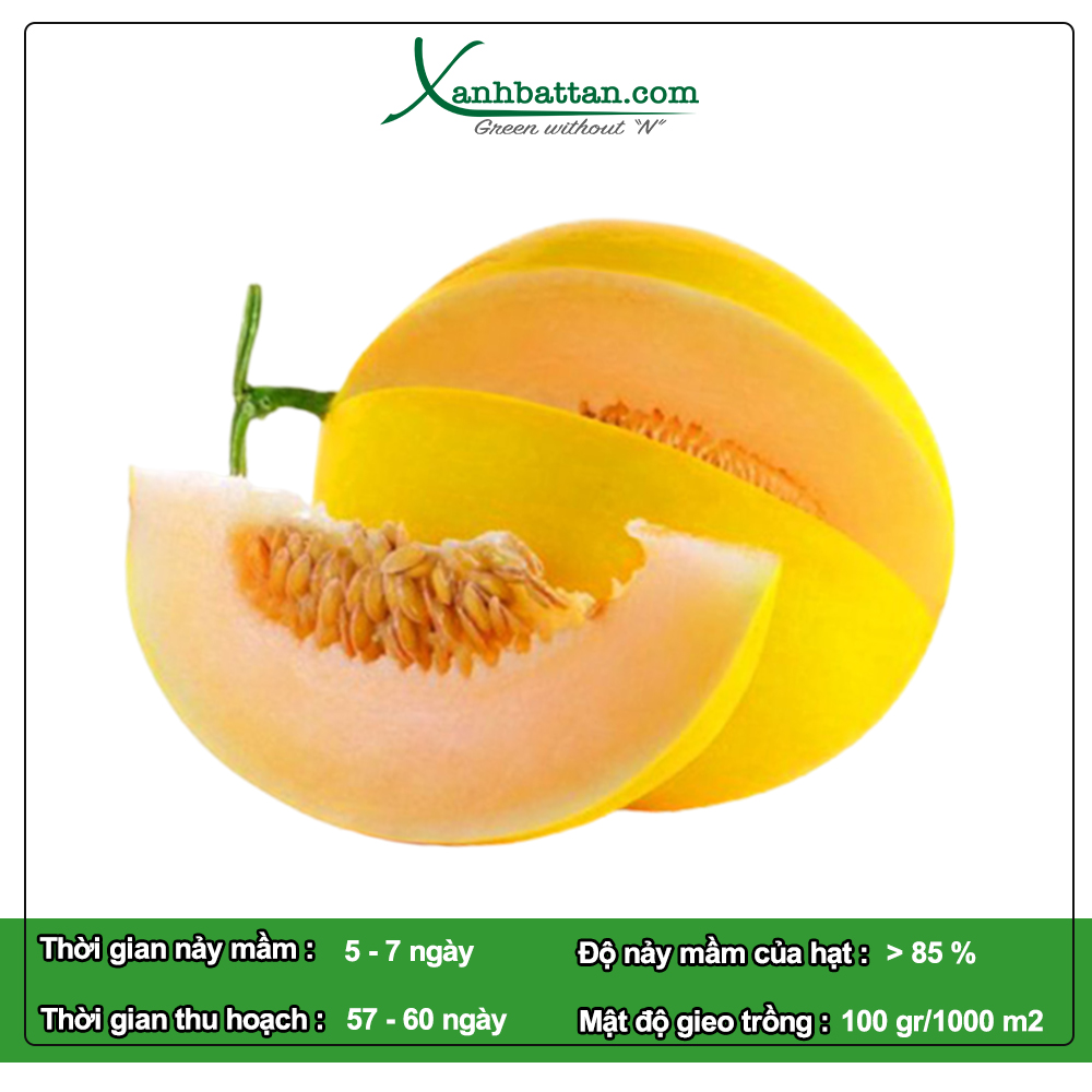 Hạt Giống Dưa Lê Hồng Kim Phú Nông Gói 300 mg