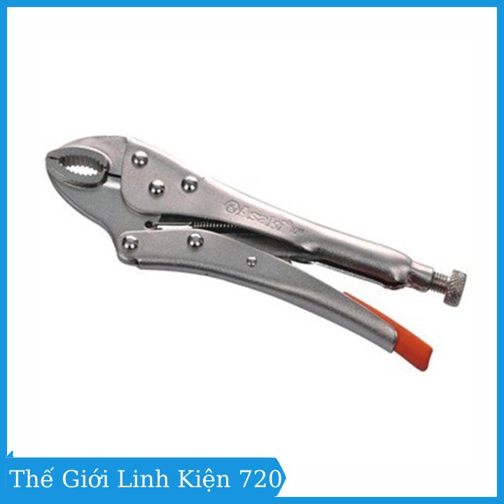 Kìm chết Asaki 10 inch mũi cong