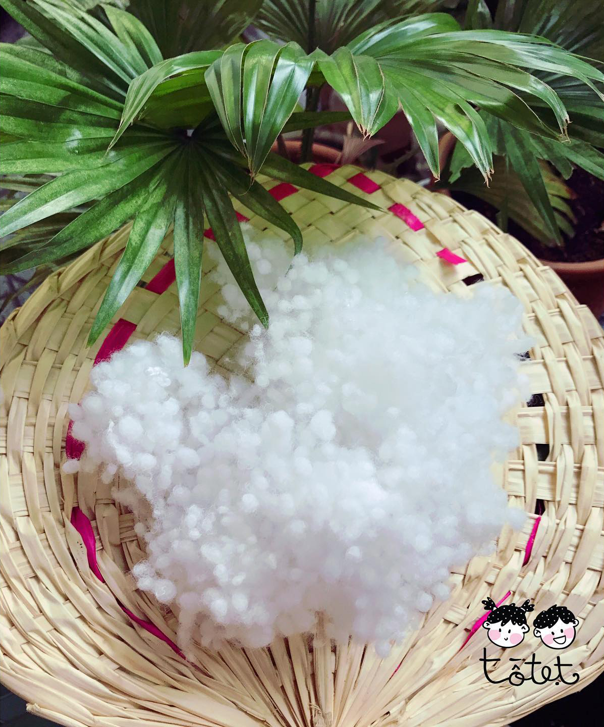 Gấu bông hình Hà Mã siêu đẹp 60cm