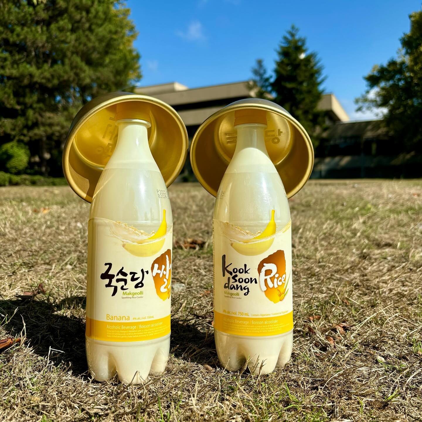 Nước gạo lên men Kook Soon Dang vị chuối 750ml