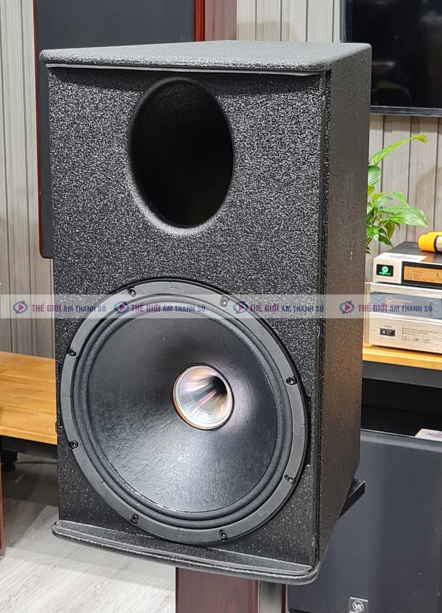 Loa Toàn Dải Weeworld D12