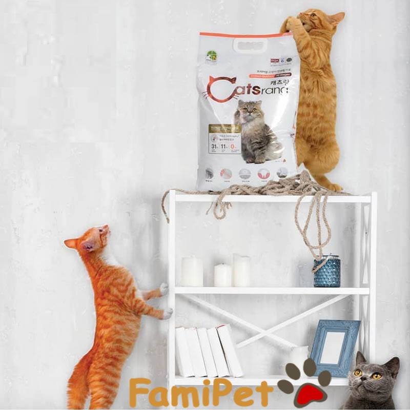 Thức ăn hạt cho mèo Catsrang