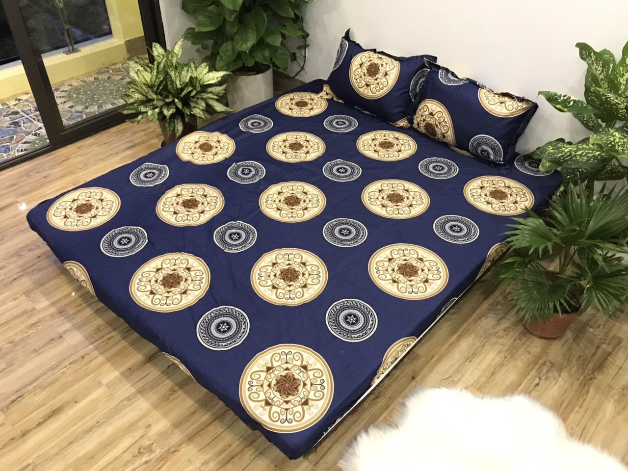 Set Ga Gối Cotton Poly Mẫu Đồng Xu ( gồm 1 ga + 2 vỏ gối )