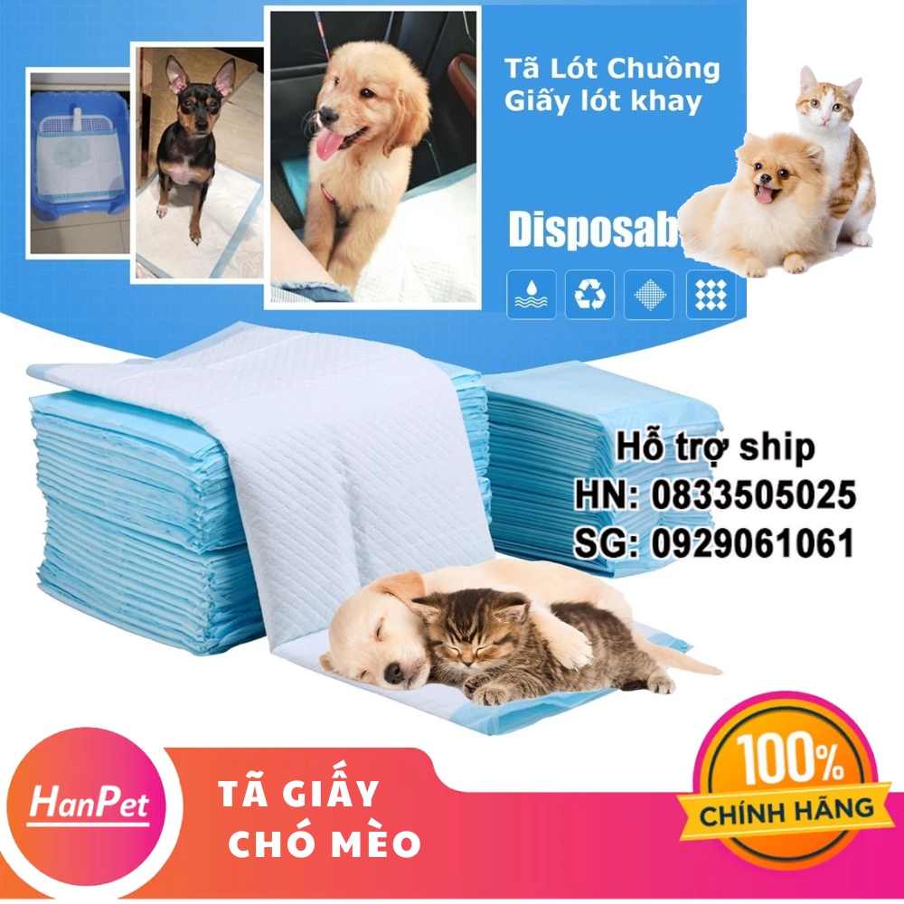 Hanpet - SP161 - (1 Bịch tã giấy) - Giấy lót chuồng, khay chó mèo- Bịch 100 miếng Khổ giấy 33x45cm-/ BỈM GIẤY THÚ CƯNG