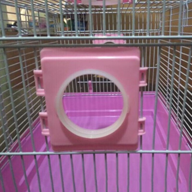 Tấm nối ống chui lồng hamster