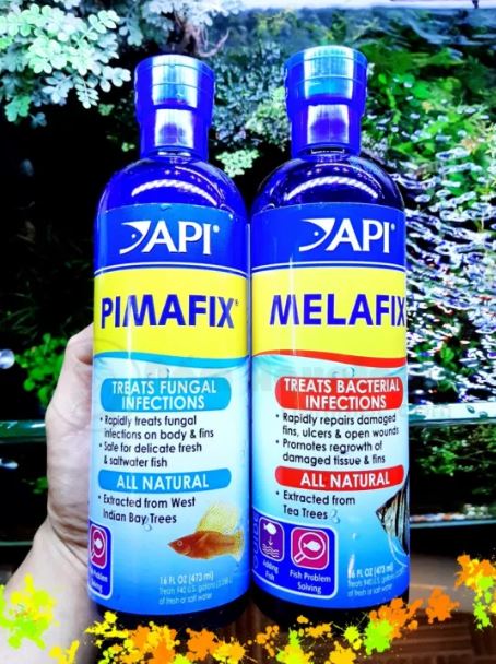 Api melafix pimafix chai nguyên 118 237 473 ml dung dịch tự nhiên cho cá tép an toàn hàng usa