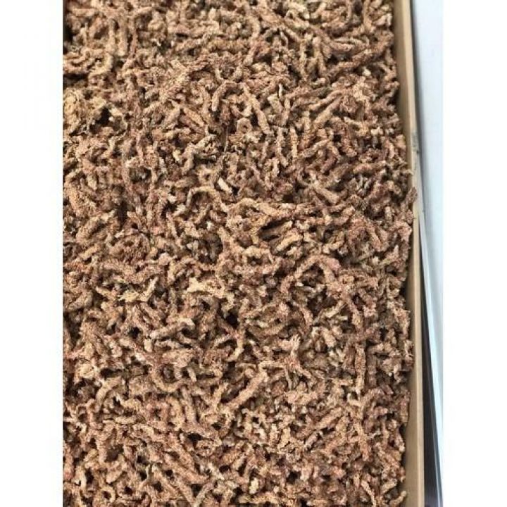 100g rêu sâu Chile chuyên dùng chồng lan
