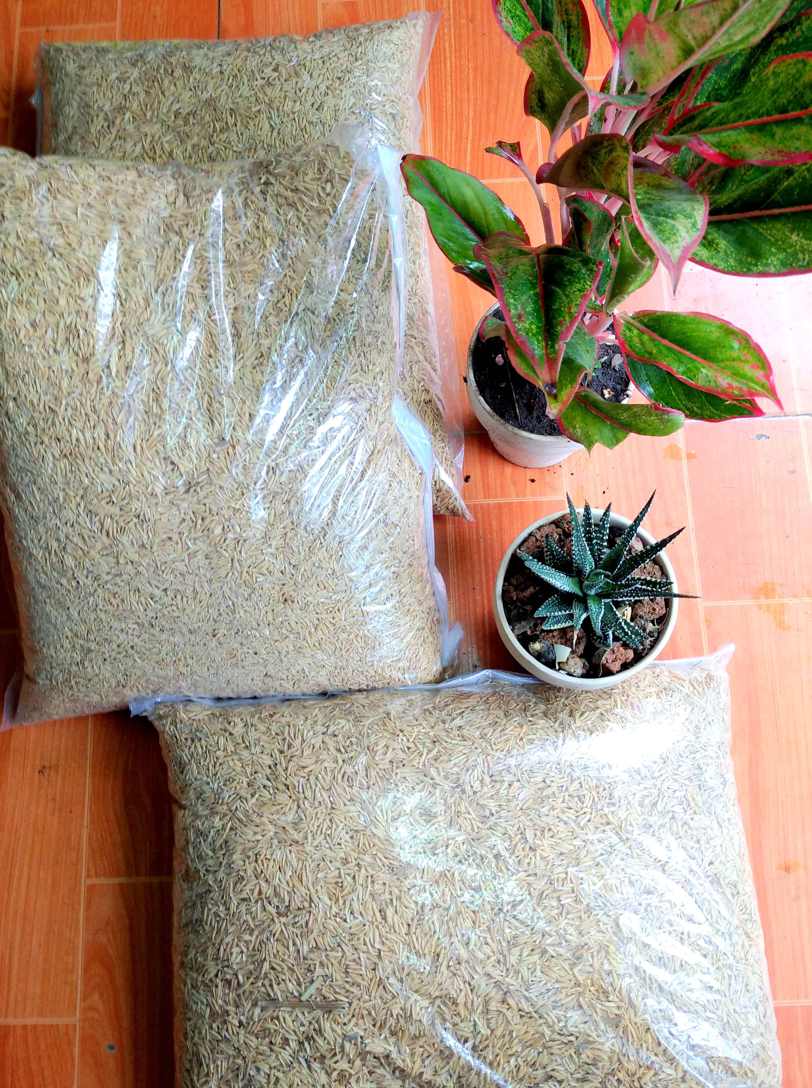 Vỏ trấu trấu sống 1kg