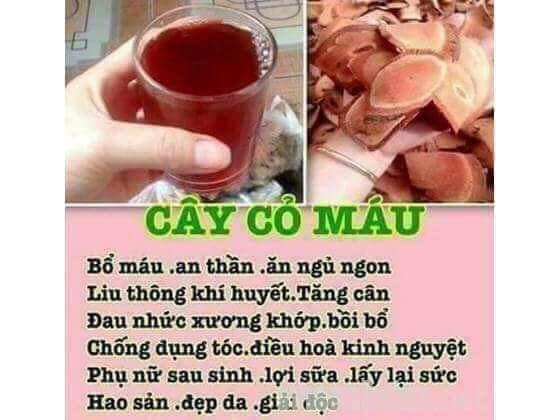 Combo 2kg cỏ máu