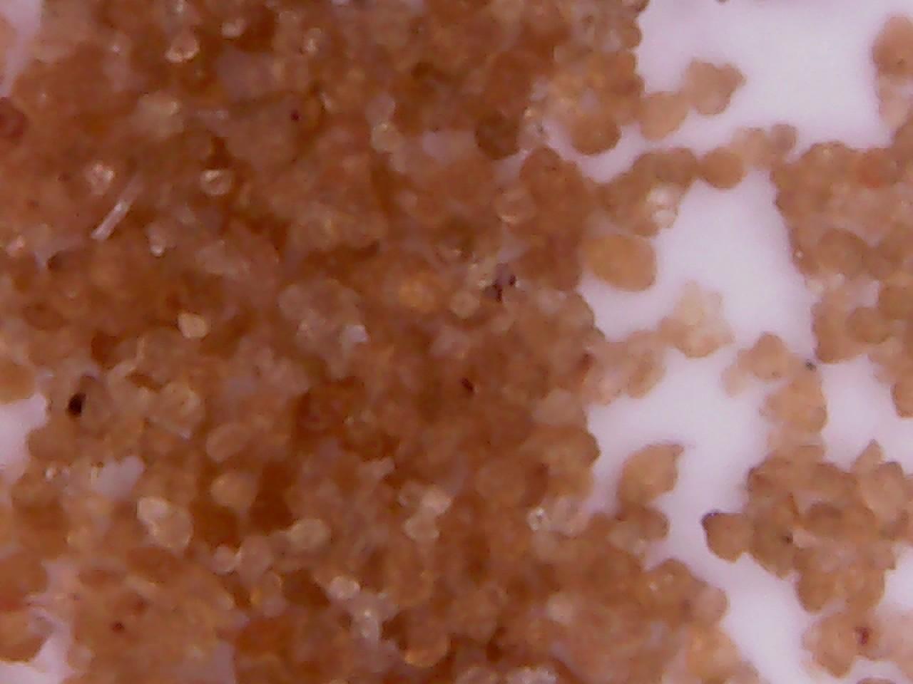 LAVIVA - Thức ăn cao cấp từ Pháp cho betta - Guppy (20g)