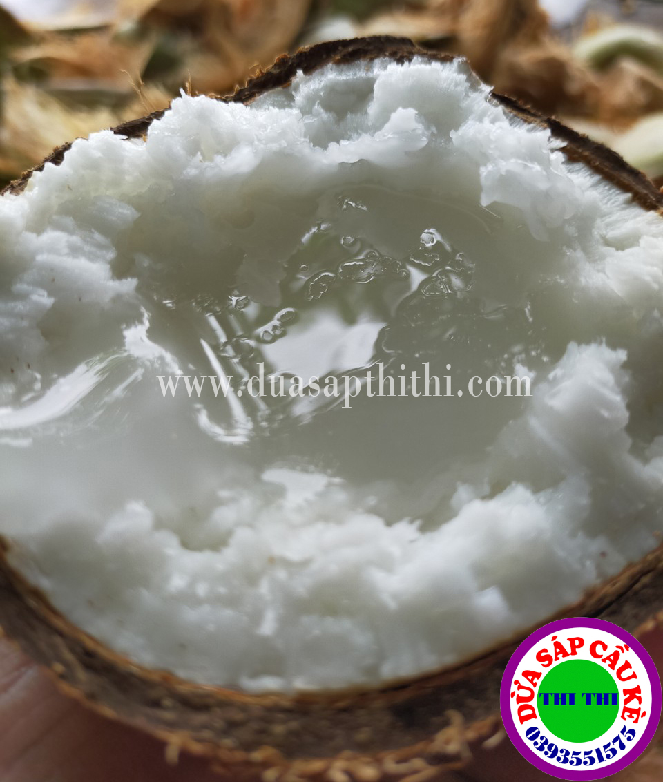 Dừa Sáp Cầu Kè Trà Vinh - Loại Ngon (Nhiều Loại)
