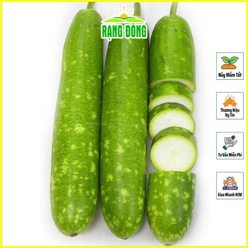 Hạt giống Bầu Sao Lai F1 Rado 26 (10 hạt) sinh trưởng khỏe, kháng bệnh tốt, trồng quanh năm - Hạt giống Rạng Đông