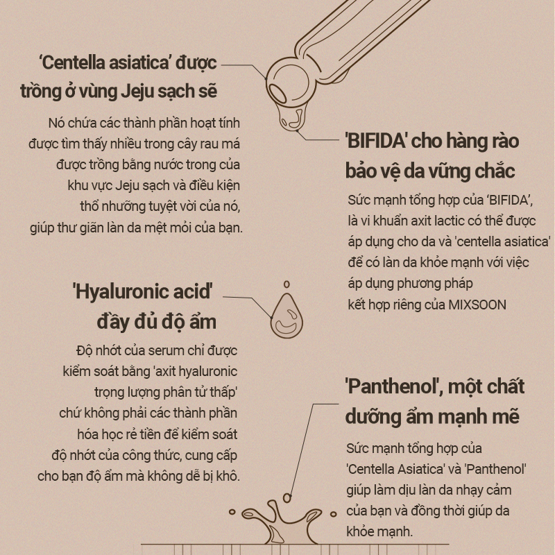 Combo Dưỡng Da Mixsoon Tinh chất Master Serum 60ml + Tinh chất Bean Essence 50ml