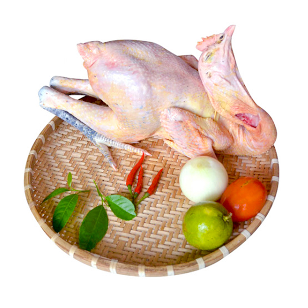 Gà ta Gò Công 1.1 - 1.3kg (con)