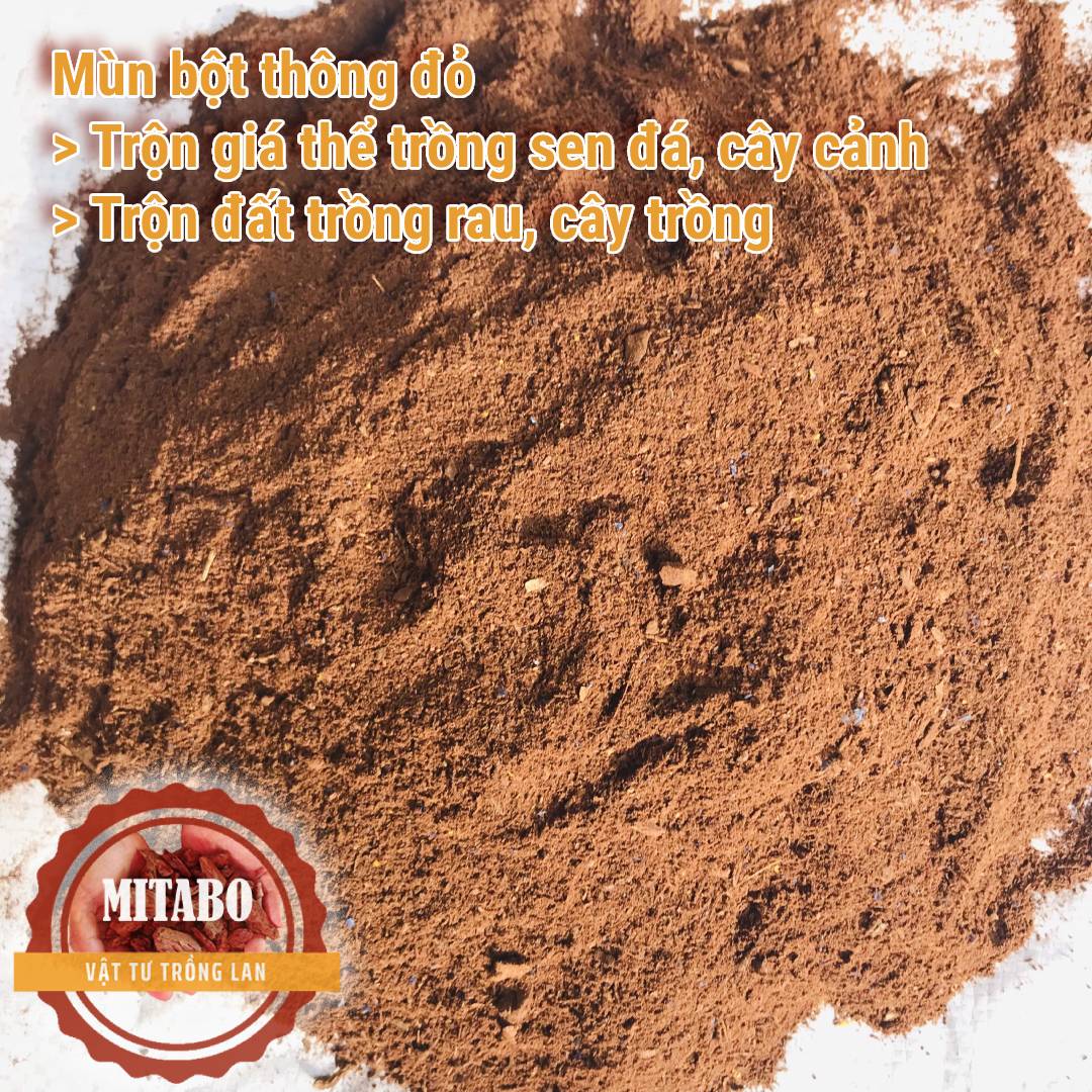 Combo 5kg Bột vụn vỏ thông đất trồng sen đá, cây cảnh Mitabo