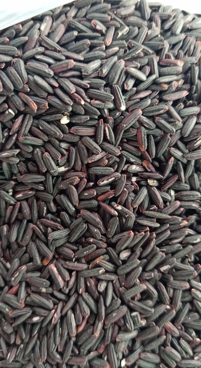 Gạo Lức Tím Than 3kg