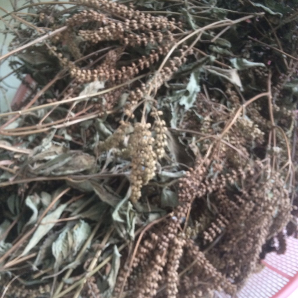 1kg cây hương nhu