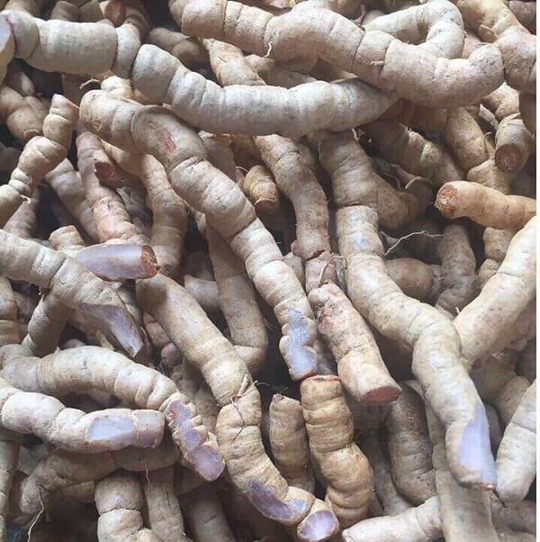 1KG Ba Kích Tím Quảng Ninh