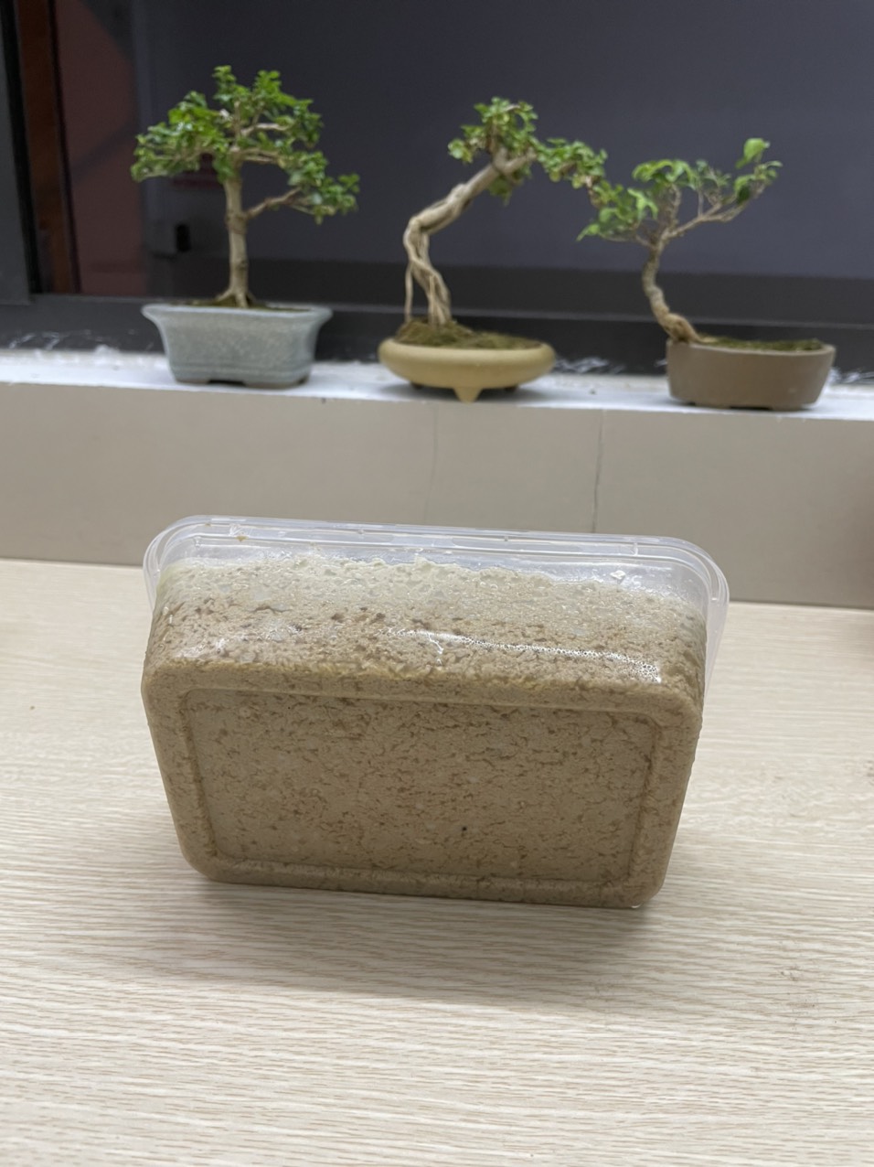 Pate hải phòng hộp 500gr